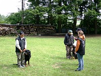 IMG 0849