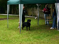 IMG 1047