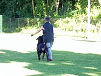 100 0181 bearbeitet-1