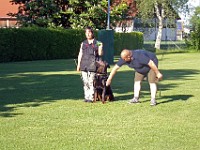 100 0184 bearbeitet-1