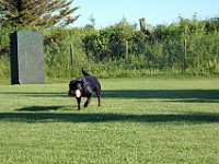 100 0190 bearbeitet-1