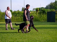 P1030434 bearbeitet-1