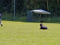 P1030758 bearbeitet-1