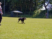 P1030760 bearbeitet-1