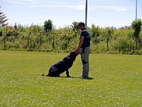 P1030761 bearbeitet-1