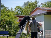 P1030785 bearbeitet-1