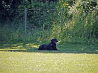 P1030794 bearbeitet-1