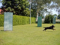 P1030912 bearbeitet-1