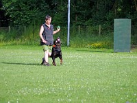  1030437 bearbeitet-1