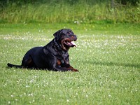  1030439 bearbeitet-1