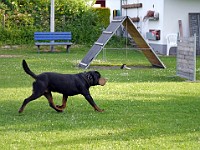  1030443 bearbeitet-1