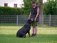  1030445 bearbeitet-1